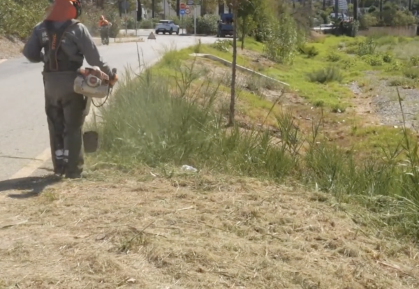 Captura de pantalla 2025-10-29 a las 12.03.31