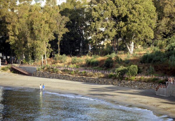 559347946_18330740125228021_8267658940632042073_n