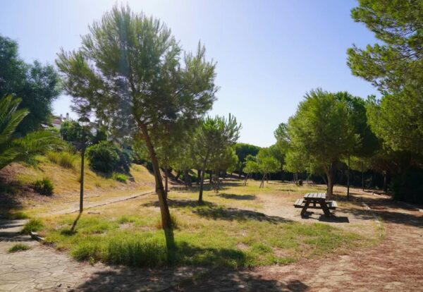 565155046_18333274501228021_9127454715023244262_n