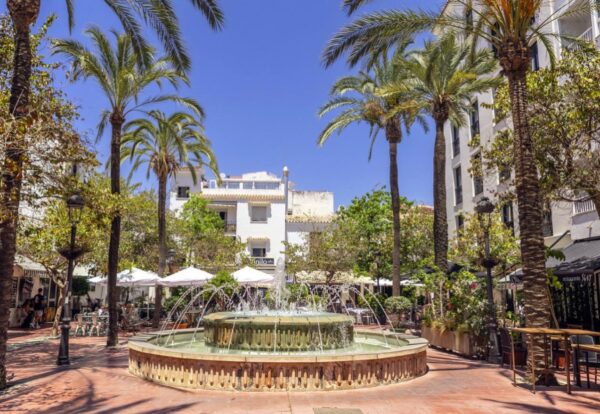 612169498_18343997653228021_2032554290358713201_n