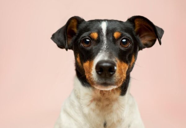 612215774_18344214025228021_7373039643794774470_n