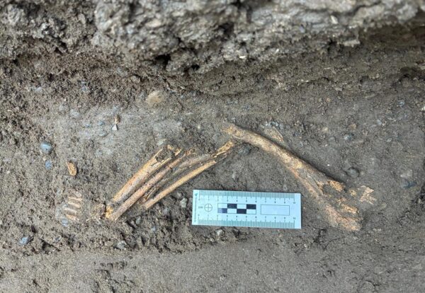 629182617_1443977190419234_2053541903191221881_n