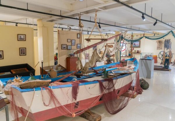 El Museo del Mar de Estepona ultima su renovación